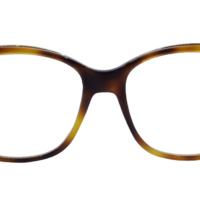 DIOR DiorSignatureO BI 2200